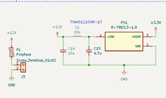 Protected input and voltage regulation section